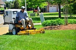 lawn maintenance